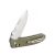 Knife Ganzo D704 - Green
