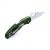 Knife Ganzo Firebird F759M (Green)