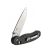 Knife Ganzo Firebird FB727S-CF (Black)
