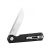 Knife Ganzo Firebird FH11-CF (Black)