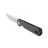 Knife Ganzo Firebird FH11-CF (Black)
