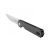 Knife Ganzo Firebird FH11-CF (Black)
