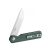 Knife Ganzo Firebird FH11 (Green)