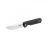 Knife Ganzo Firebird FH11S (Black)
