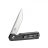 Knife Ganzo Firebird FH11S (Black)
