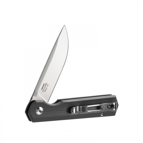 Knife Ganzo Firebird FH11S (Black)