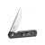 Knife Ganzo Firebird FH11S (Black)