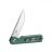 Knife Ganzo Firebird FH11S (Green)