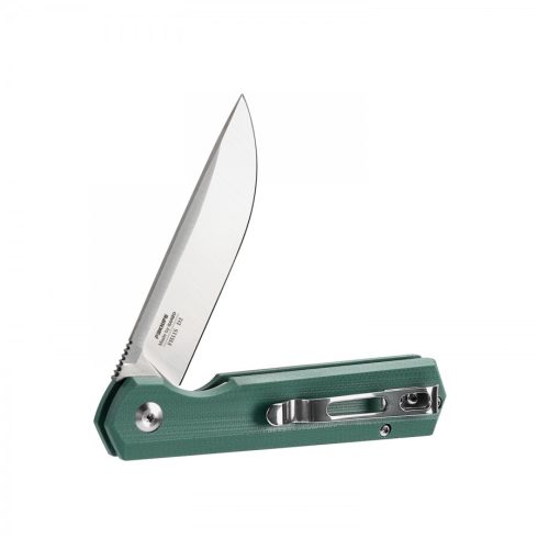 Knife Ganzo Firebird FH11S (Green)