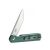 Knife Ganzo Firebird FH11S (Green)