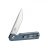 Knife Ganzo Firebird FH11S (Gray)
