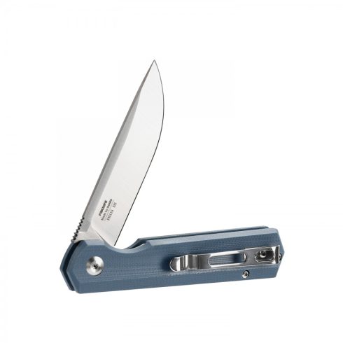 Knife Ganzo Firebird FH11S (Gray)