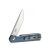 Knife Ganzo Firebird FH11S (Gray)