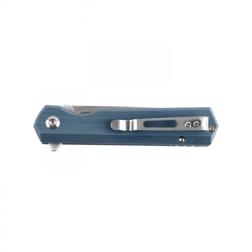 Knife Ganzo Firebird FH11S (Gray)