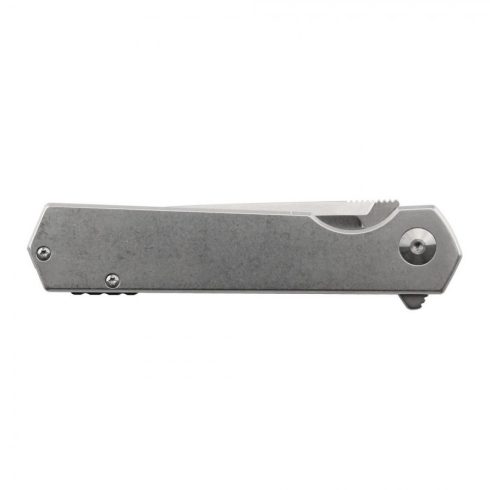 Knife Ganzo Firebird FH12-SS
