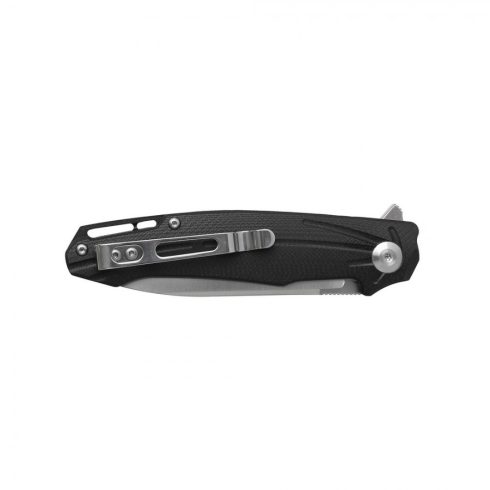 Knife Ganzo Firebird FH21-BK (Black)