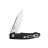Knife Ganzo Firebird FH21-BK (Black)