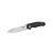 Knife Ganzo Firebird FH21-BK (Black)