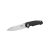 Knife Ganzo Firebird FH21-BK (Black)