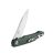 Knife Ganzo Firebird FH21-BK (Black)