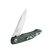 Knife Ganzo Firebird FH21-BK (Black)