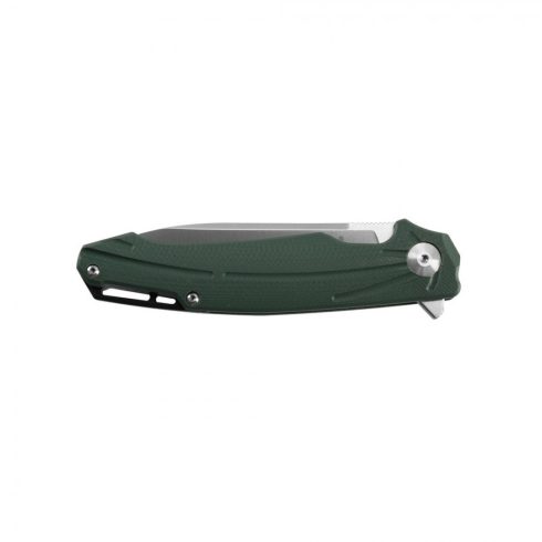 Knife Ganzo Firebird FH21-BK (Black)