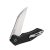 Knife Ganzo Firebird FH31-BK (Black)