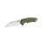 Knife Ganzo Firebird FH31 (Green)