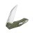 Knife Ganzo Firebird FH31 (Green)