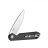 Knife Ganzo Firebird FH41-CF