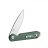 Knife Ganzo Firebird FH41-GB (green)