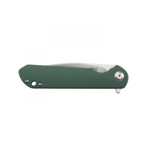 Knife Ganzo Firebird FH41S - Green
