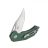 Knife Ganzo Firebird FH61 - Green