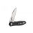 Knife Ganzo Firebird FH71-BK (black)