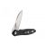 Knife Ganzo Firebird FH71-BK (black)