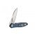 Knife Ganzo Firebird FH71 (Gray)