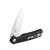 Knife Ganzo Firebird FH91 (Black)