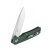 Knife Ganzo Firebird FH91 (Green)