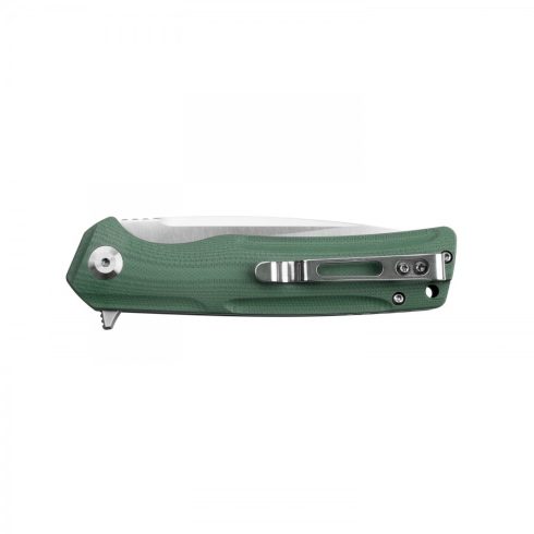 Knife Ganzo Firebird FH91 (Green)