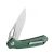 Knife Ganzo Firebird FH921 (Green)