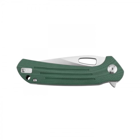 Knife Ganzo Firebird FH921 (Green)