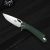 Knife Ganzo Firebird FH921 (Green)