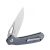 Knife Ganzo Firebird FH921 (Gray)