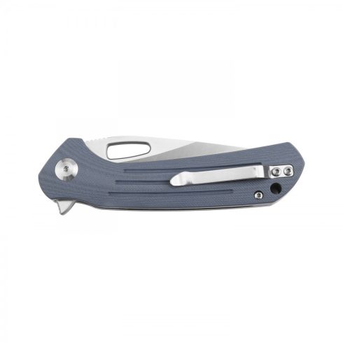Knife Ganzo Firebird FH921 (Gray)