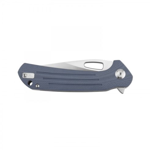 Knife Ganzo Firebird FH921 (Gray)