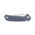 Knife Ganzo Firebird FH921 (Gray)