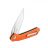 Knife Ganzo Firebird FH921 - Orange
