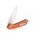 Knife Ganzo Firebird FH921 - Orange