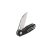 Firebird GanzoFH924 - Pocket Folding Knife (Black)