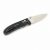 Knife Ganzo G704-BK